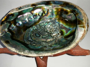 Abalone Shell with tripod set